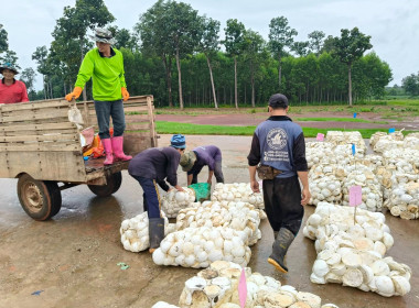 ติดตามการดำเนินธุรกิจของสหกรณ์และติดตามการแก้ไขข้อบกพร่องและข้อสังเกตสหกรณ์ ... พารามิเตอร์รูปภาพ 2