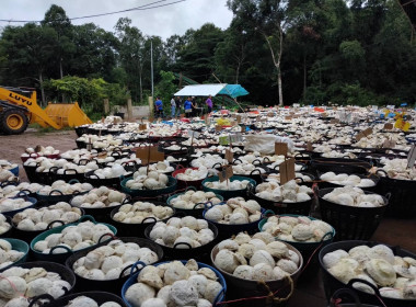 ติดตามการใช้เงินกู้กองทุนสงเคราะห์เกษตรกร ... พารามิเตอร์รูปภาพ 6