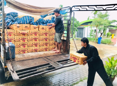 ร่วมกระจายผลผลิต “แก้วมังกร” พารามิเตอร์รูปภาพ 10