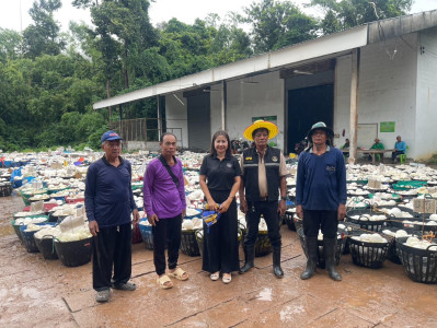 ลงพื้นที่ตรวจสอบธุรกิจการรวบรวมยางพาราก้อนถ้วยของกลุ่มเกษตรกรชาวสวนยางอำเภอหัวตะพาน ... พารามิเตอร์รูปภาพ 1