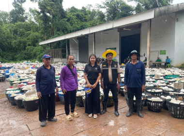 ลงพื้นที่ตรวจสอบธุรกิจการรวบรวมยางพาราก้อนถ้วยของกลุ่มเกษตรกรชาวสวนยางอำเภอหัวตะพาน ... พารามิเตอร์รูปภาพ 1