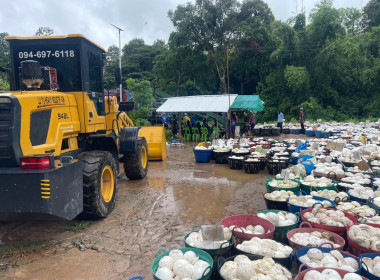 ลงพื้นที่ตรวจสอบธุรกิจการรวบรวมยางพาราก้อนถ้วยของกลุ่มเกษตรกรชาวสวนยางอำเภอหัวตะพาน ... พารามิเตอร์รูปภาพ 5