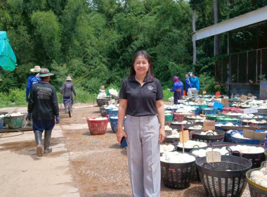 ลงพื้นที่ตรวจสอบธุรกิจการรวบรวมยางพารา ... พารามิเตอร์รูปภาพ 2