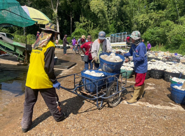 ธุรกิจการรวบรวมยางพารา กลุ่มเกษตรกรชาวสวนยางอำเภอหัวตะพาน พารามิเตอร์รูปภาพ 5