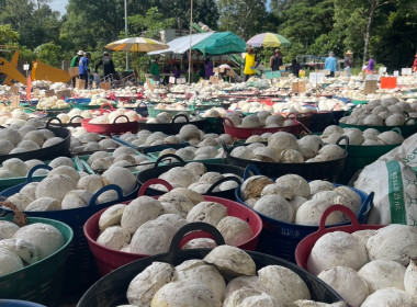 ธุรกิจการรวบรวมยางพารา กลุ่มเกษตรกรชาวสวนยางอำเภอหัวตะพาน พารามิเตอร์รูปภาพ 8