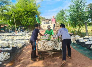 ติดตามการดำเนินธุรกิจรวบรวมยางพาราสหกรณ์กองทุนสวนยางบ้านนาห้วยทราย จำกัด ... พารามิเตอร์รูปภาพ 3