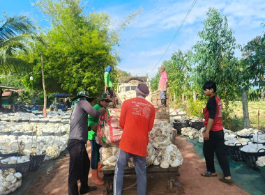 ติดตามการดำเนินธุรกิจรวบรวมยางพาราสหกรณ์กองทุนสวนยางบ้านนาห้วยทราย จำกัด ... พารามิเตอร์รูปภาพ 4