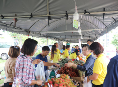 จังหวัดอำนาจเจริญ เปิดงาน “วันเกษตรกรเมืองธรรมเกษตร ... พารามิเตอร์รูปภาพ 12