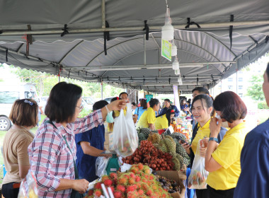 จังหวัดอำนาจเจริญ เปิดงาน “วันเกษตรกรเมืองธรรมเกษตร ... พารามิเตอร์รูปภาพ 13