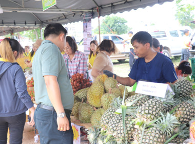 จังหวัดอำนาจเจริญ เปิดงาน “วันเกษตรกรเมืองธรรมเกษตร ... พารามิเตอร์รูปภาพ 17