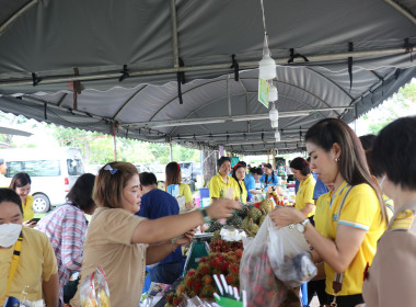 จังหวัดอำนาจเจริญ เปิดงาน “วันเกษตรกรเมืองธรรมเกษตร ... พารามิเตอร์รูปภาพ 25