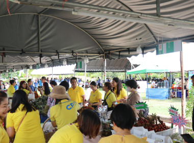 จังหวัดอำนาจเจริญ เปิดงาน “วันเกษตรกรเมืองธรรมเกษตร ... พารามิเตอร์รูปภาพ 29