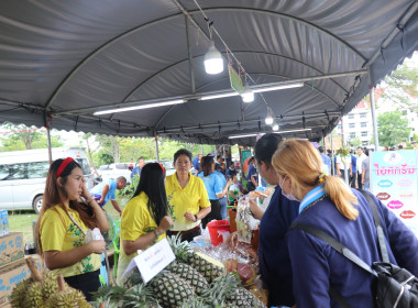 จังหวัดอำนาจเจริญ เปิดงาน “วันเกษตรกรเมืองธรรมเกษตร ... พารามิเตอร์รูปภาพ 68