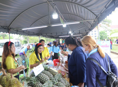 จังหวัดอำนาจเจริญ เปิดงาน “วันเกษตรกรเมืองธรรมเกษตร ... พารามิเตอร์รูปภาพ 69