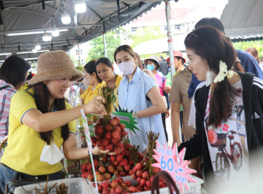 จังหวัดอำนาจเจริญ เปิดงาน “วันเกษตรกรเมืองธรรมเกษตร ... พารามิเตอร์รูปภาพ 91