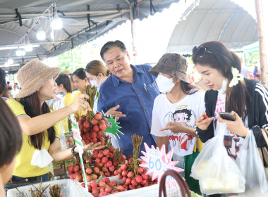 จังหวัดอำนาจเจริญ เปิดงาน “วันเกษตรกรเมืองธรรมเกษตร ... พารามิเตอร์รูปภาพ 92