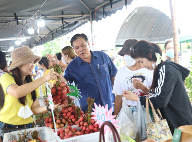 จังหวัดอำนาจเจริญ เปิดงาน “วันเกษตรกรเมืองธรรมเกษตร ... พารามิเตอร์รูปภาพ 93