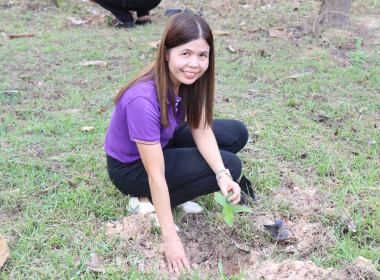กิจกรรมเนื่องในวันต้นไม้ประจำปีของชาติ พ.ศ.2566 พารามิเตอร์รูปภาพ 16