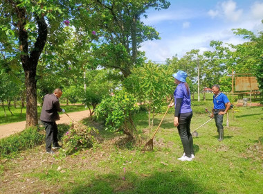 กิจกรรม 5 ส. ปรับภูมิทัศน์บริเวณสำนักงาน พารามิเตอร์รูปภาพ 4