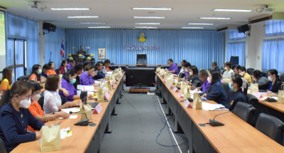 การประชุมประชาพิจารณ์ (ร่าง) ... พารามิเตอร์รูปภาพ 1