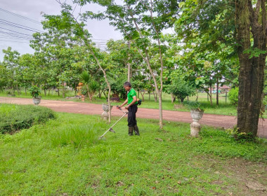 กิจกรรม 5 ส.ปรับปรุงภูมิทัศน์บริเวณสำนักงาน พารามิเตอร์รูปภาพ 2