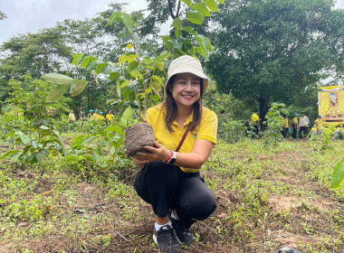 ร่วมกิจกรรมจิตอาสาพัฒนาเนื่องในวันเฉลิมพระชนมพรรษาพระบาทสมเด็จพระเจ้าอยู่หัว ... พารามิเตอร์รูปภาพ 2