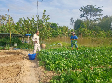 ติดตามแนะนำส่งเสริมแนวทางการประกอบอาชีพของสมาชิกสหกรณ์ที่เข้าร่วมโครงการปลุกผักอินทรีย์ ... พารามิเตอร์รูปภาพ 4