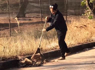 กิจกรรมบำเพ็ญสาธารณประโยชน์ปรับปรุงภูมิทัศน์ศูนย์ราชการจังหวัดอำนาจเจริญ ... พารามิเตอร์รูปภาพ 6