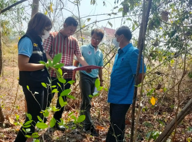 ตรวจพื้นที่ที่ขออนุญาตใช้ที่ดินของนิคมสหกรณ์พนา ... พารามิเตอร์รูปภาพ 3