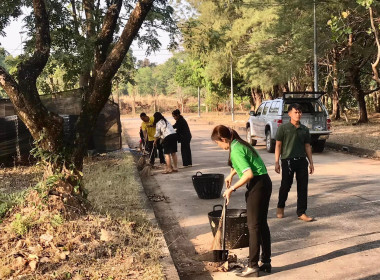 กิจกรรมบำเพ็ญสาธารณประโยชน์ปรับปรุงภูมิทัศน์ศูนย์ราชการจังหวัดอำนาจเจริญ ... พารามิเตอร์รูปภาพ 9