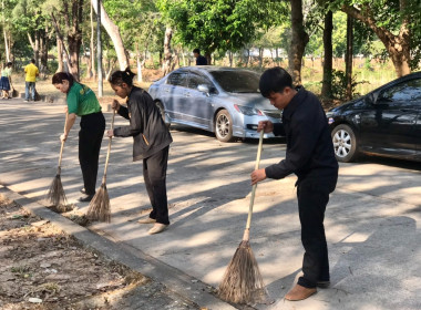 กิจกรรมบำเพ็ญสาธารณประโยชน์ปรับปรุงภูมิทัศน์ศูนย์ราชการจังหวัดอำนาจเจริญ ... พารามิเตอร์รูปภาพ 5