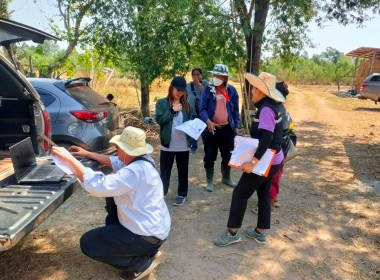 สำรวจวงรอบ - รายแปลงในพื้นที่นิคมสหกรณ์ พารามิเตอร์รูปภาพ 3