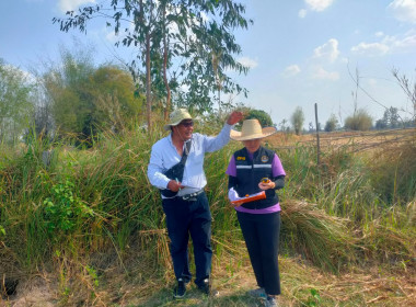 สำรวจวงรอบ - รายแปลงในพื้นที่นิคมสหกรณ์ พารามิเตอร์รูปภาพ 8