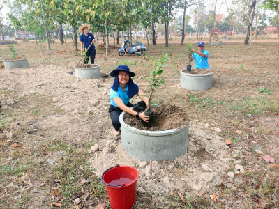 โครงการจัดทำแปลงสาธิตพันธุกรรมพืชในพื้นที่นิคมสหกรณ์พนา พารามิเตอร์รูปภาพ 1