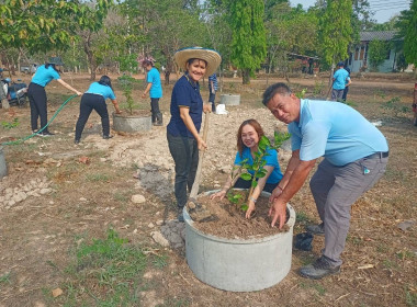 โครงการจัดทำแปลงสาธิตพันธุกรรมพืชในพื้นที่นิคมสหกรณ์พนา พารามิเตอร์รูปภาพ 3