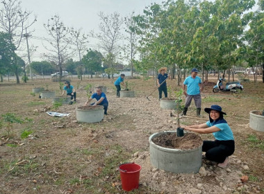 โครงการจัดทำแปลงสาธิตพันธุกรรมพืชในพื้นที่นิคมสหกรณ์พนา พารามิเตอร์รูปภาพ 4