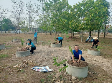 โครงการจัดทำแปลงสาธิตพันธุกรรมพืชในพื้นที่นิคมสหกรณ์พนา พารามิเตอร์รูปภาพ 5