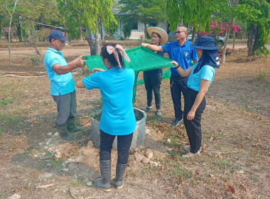 โครงการจัดทำแปลงสาธิตพันธุกรรมพืชในพื้นที่นิคมสหกรณ์พนา พารามิเตอร์รูปภาพ 6