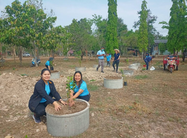 โครงการจัดทำแปลงสาธิตพันธุกรรมพืชในพื้นที่นิคมสหกรณ์พนา พารามิเตอร์รูปภาพ 7