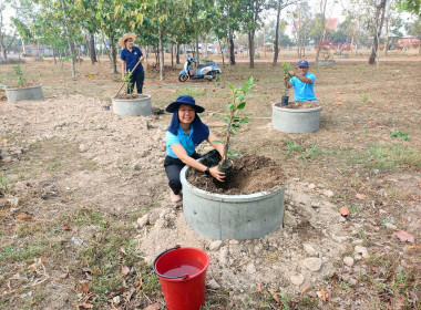 โครงการจัดทำแปลงสาธิตพันธุกรรมพืชในพื้นที่นิคมสหกรณ์พนา พารามิเตอร์รูปภาพ 8