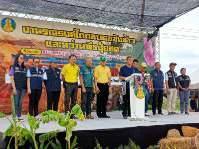 ร่วมกิจกรรมสร้างการรับรู้เพื่อเพิ่มศักยภาพการผลิตข้าวหอมมะลิคุณภาพดี ... พารามิเตอร์รูปภาพ 1