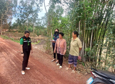 ตรวจสอบการออกเอกสารสิทธิ์ กสน.5 ... พารามิเตอร์รูปภาพ 4